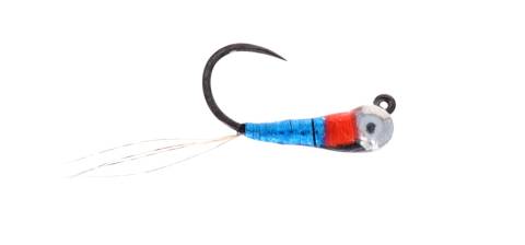 Jiggy Perdigon Blue